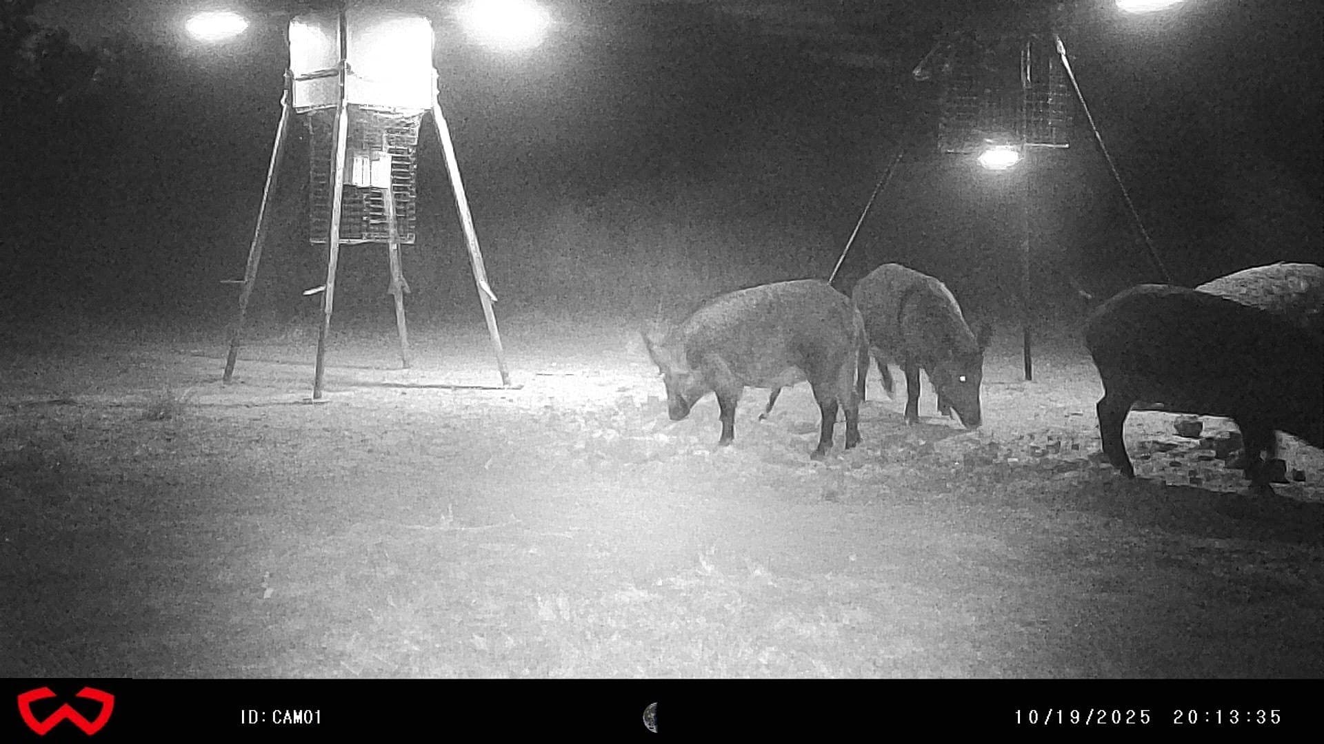 44.85 acres in Brown County - photo 34