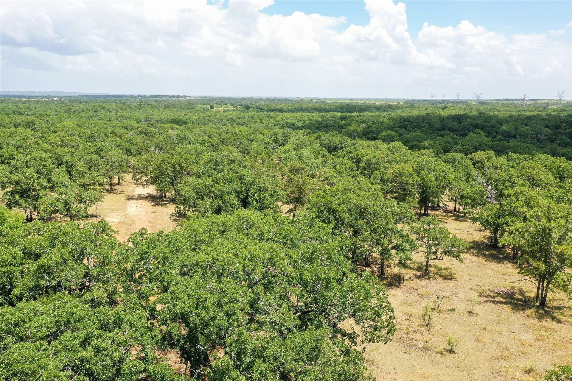 16.5 acres in Jack County - photo 11