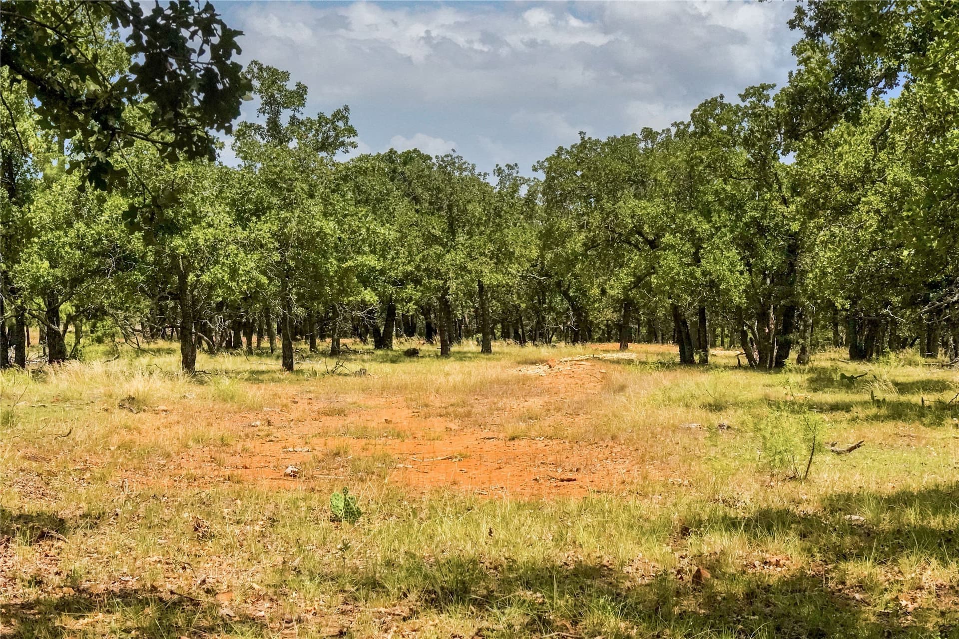 16.5 acres in Jack County