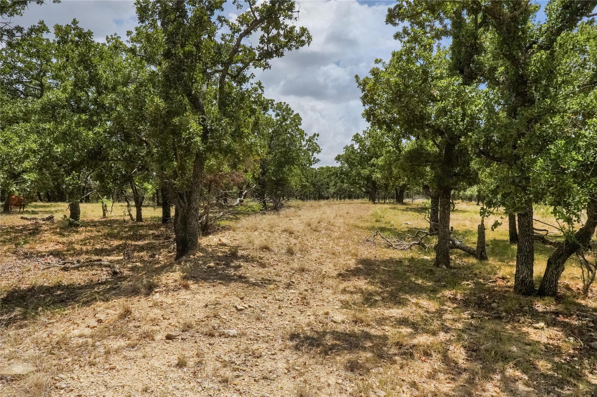 16.5 acres in Jack County - photo 36
