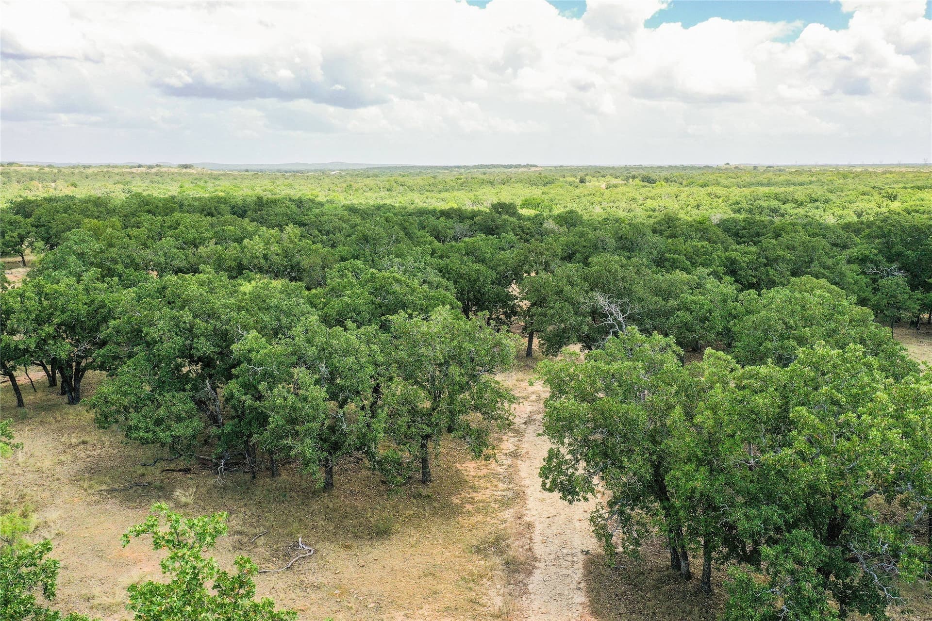 16.5 acres in Jack County - photo 13