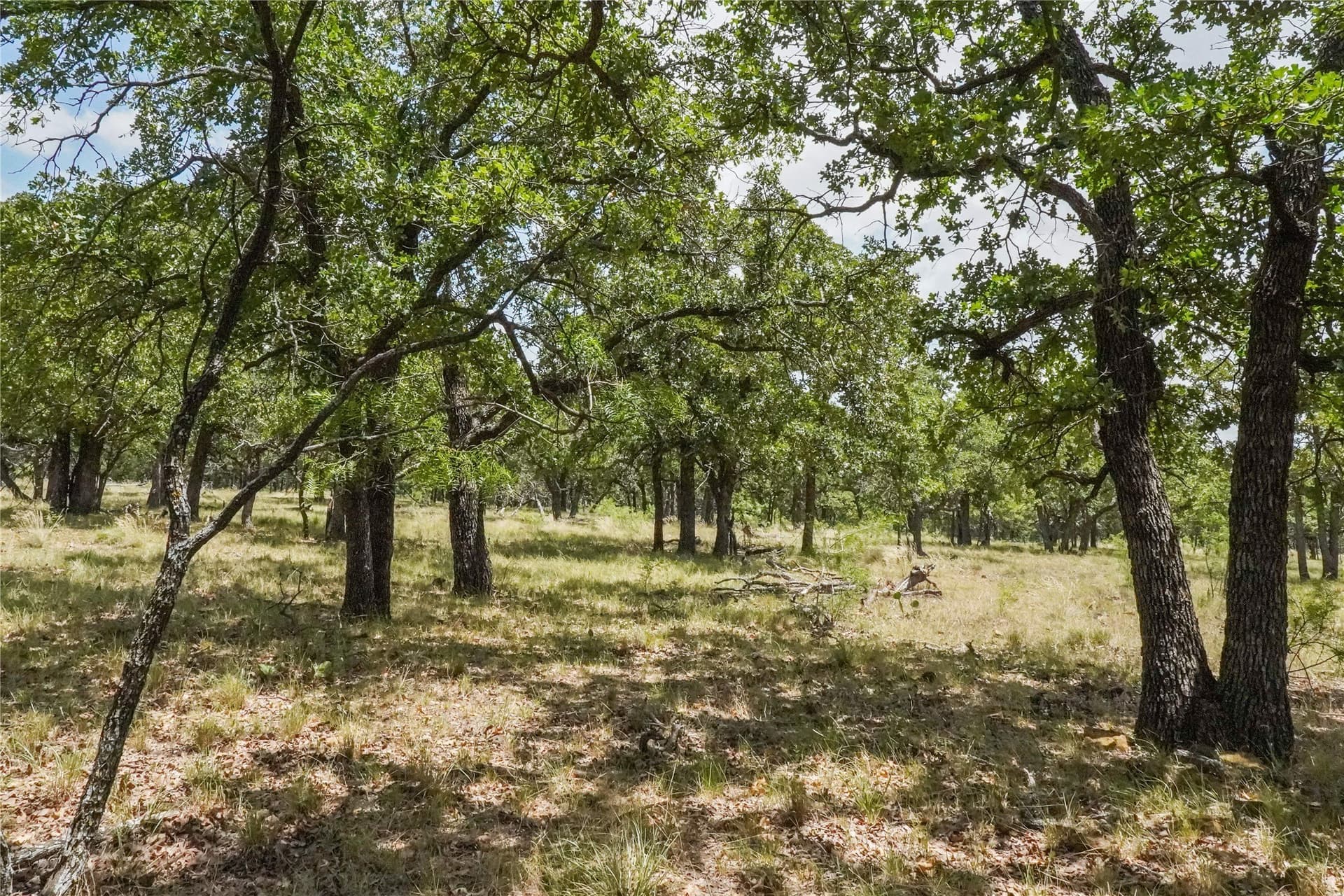 16.5 acres in Jack County - photo 18