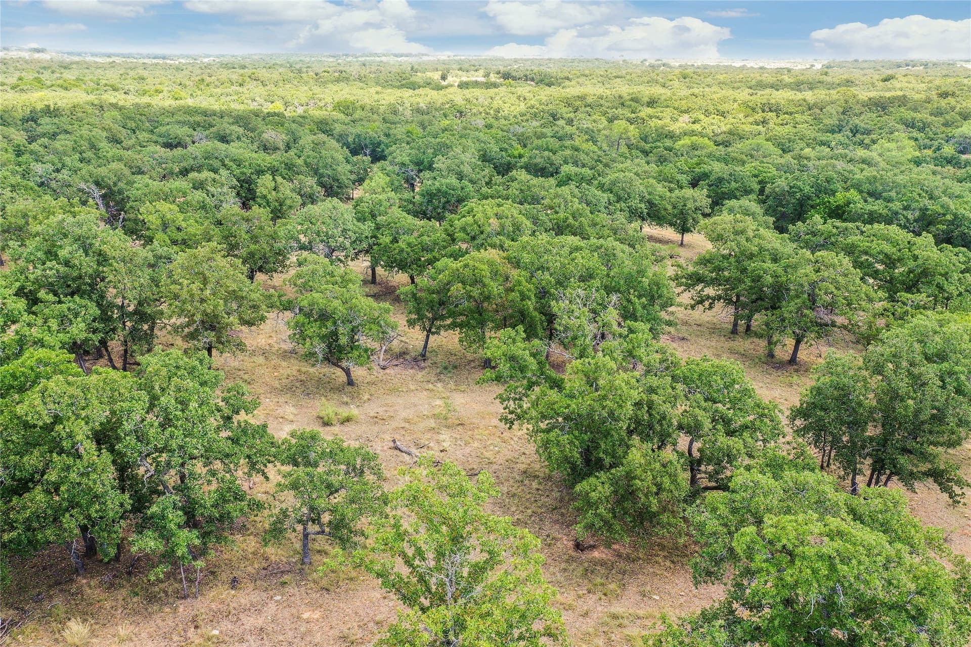 16.5 acres in Jack County - photo 12