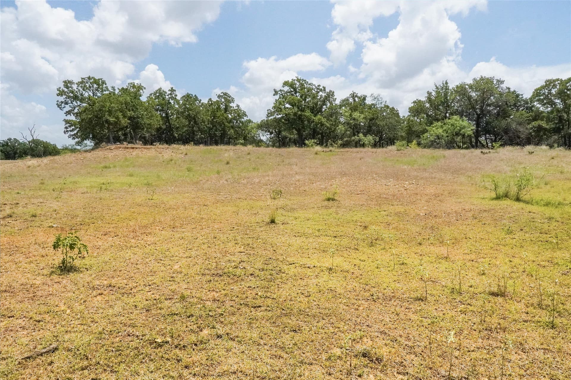 16.5 acres in Jack County - photo 22