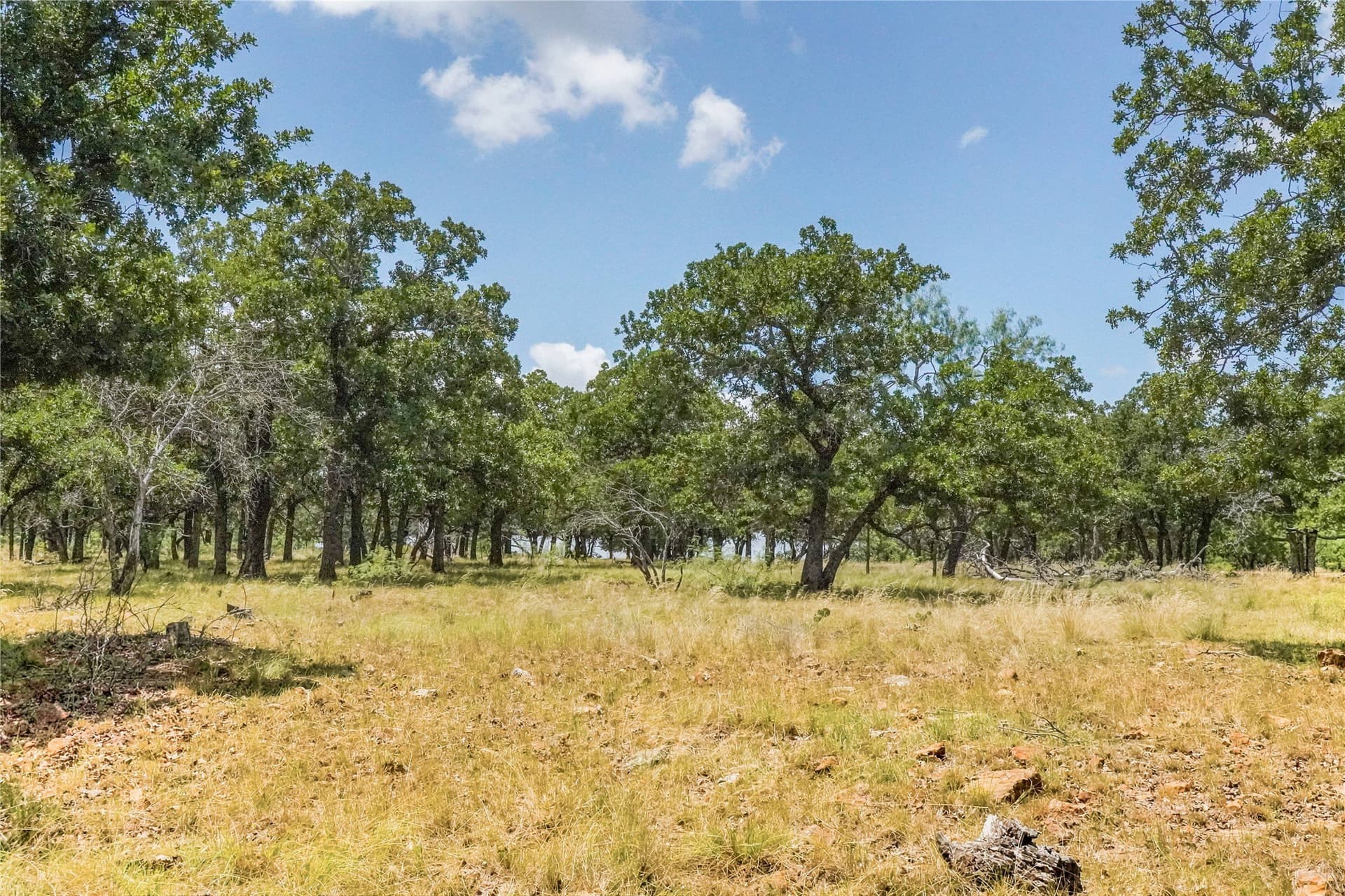 16.5 acres in Jack County - photo 28