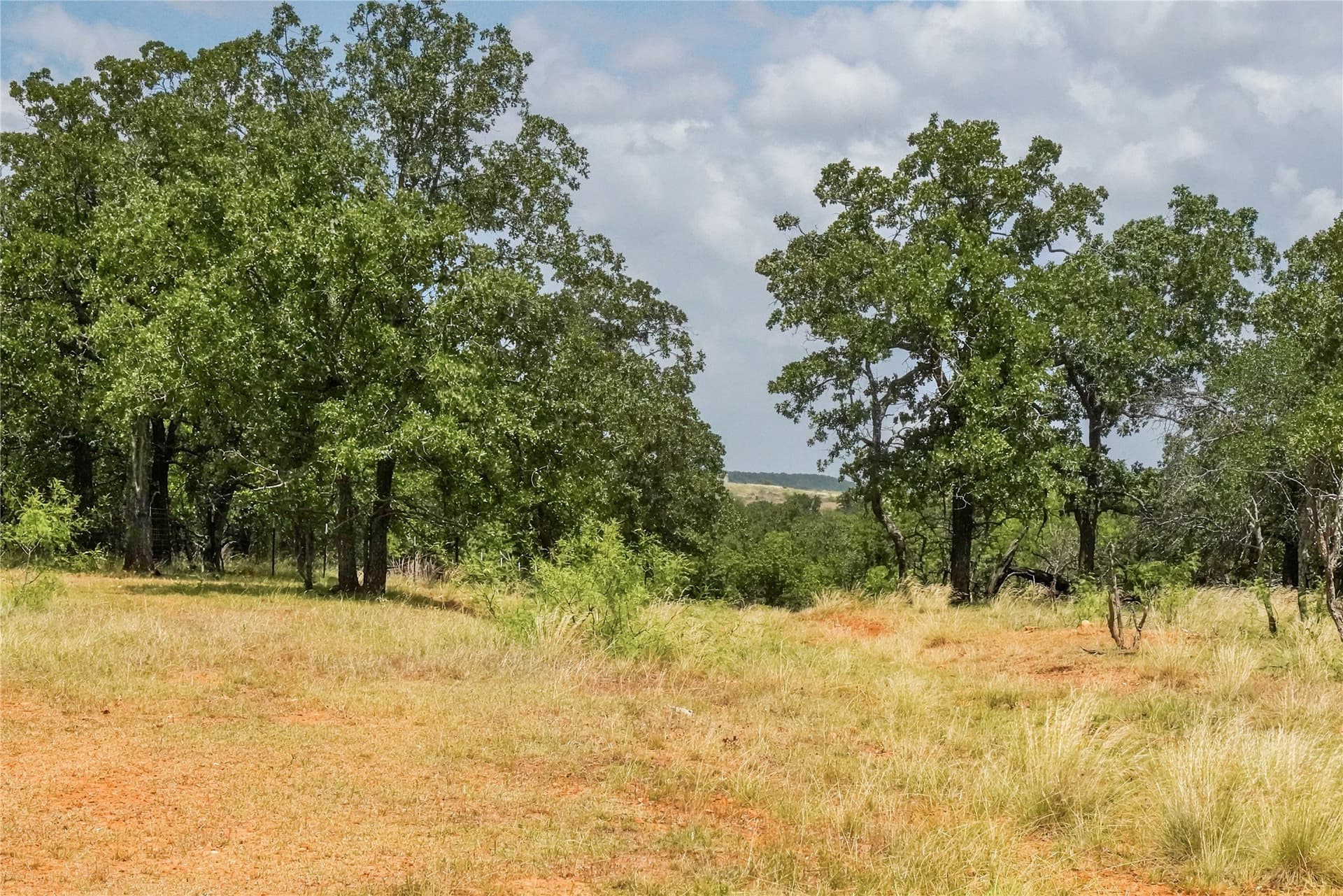 16.5 acres in Jack County - photo 16