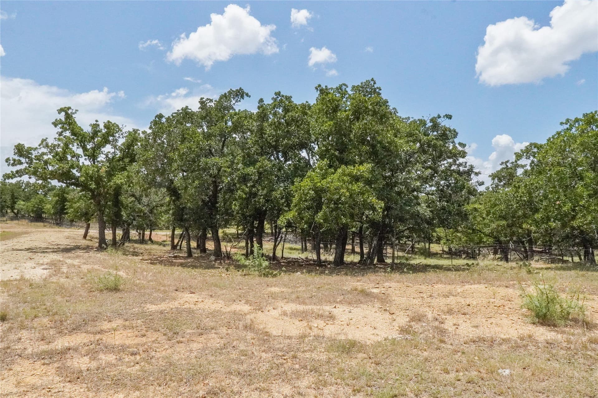 16.5 acres in Jack County - photo 37
