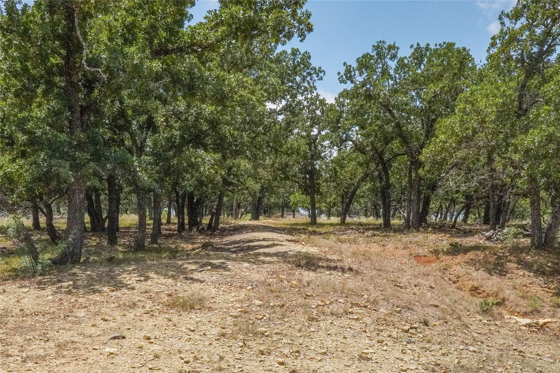 16.5 acres in Jack County - photo 25