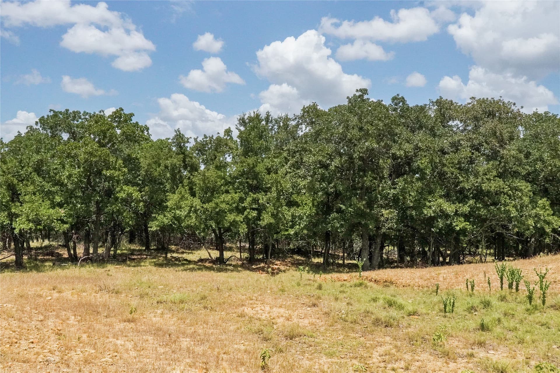 16.5 acres in Jack County - photo 32
