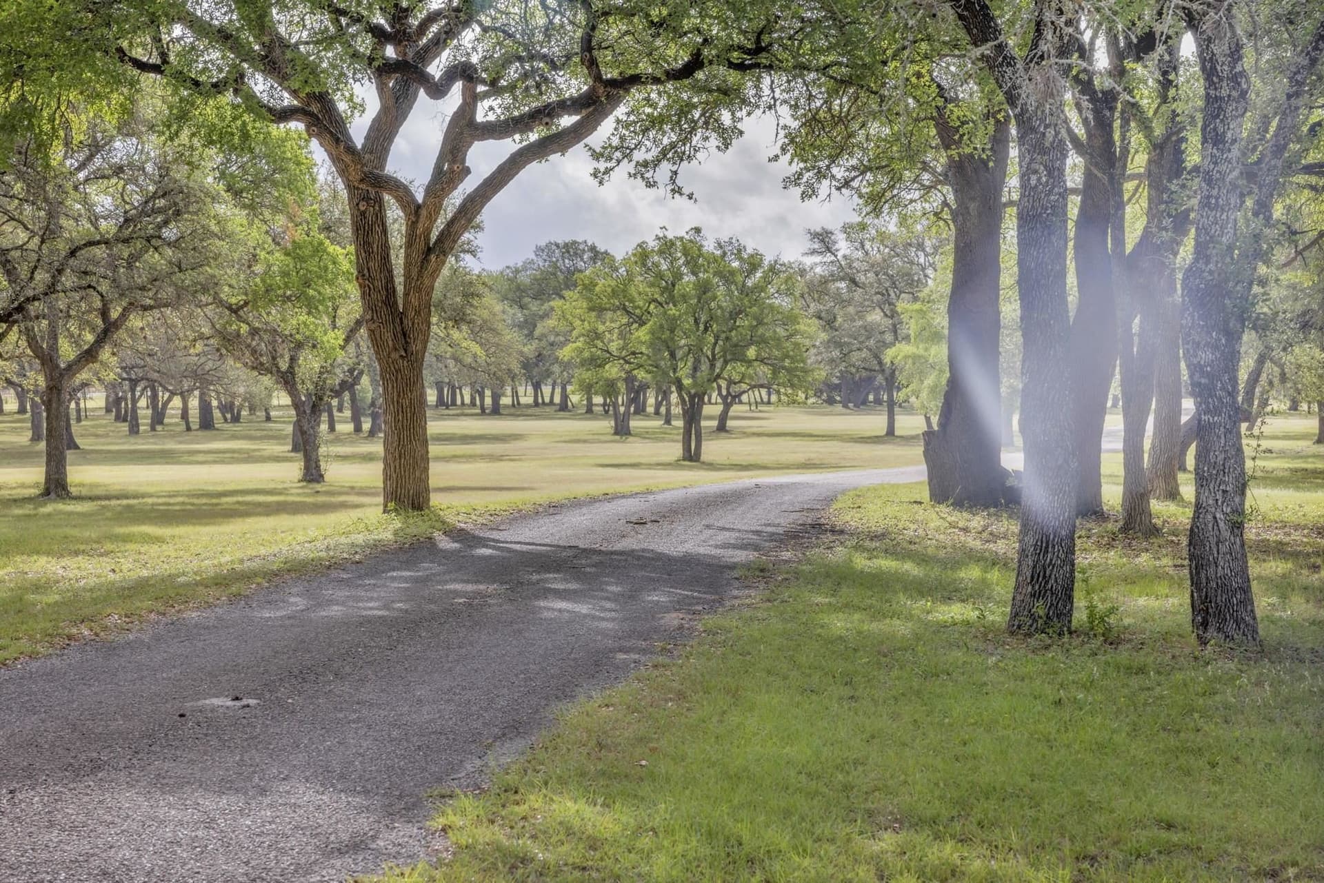 29.94 acres in Blanco County gallery image 2