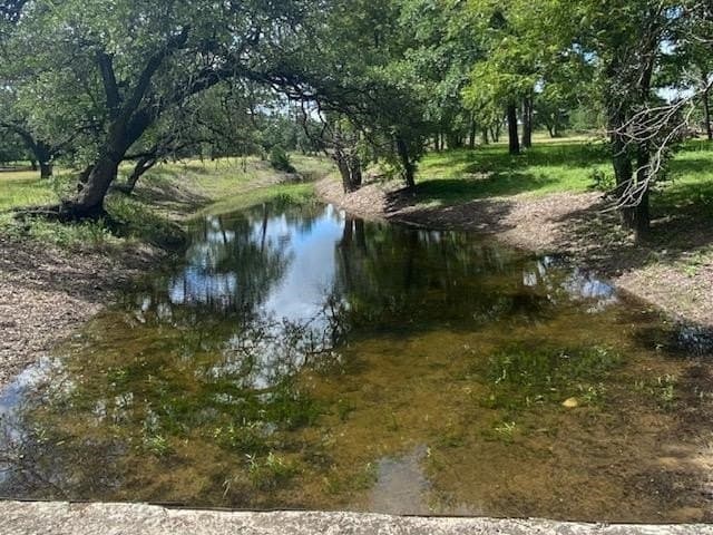 29.94 acres in Blanco County gallery image 3