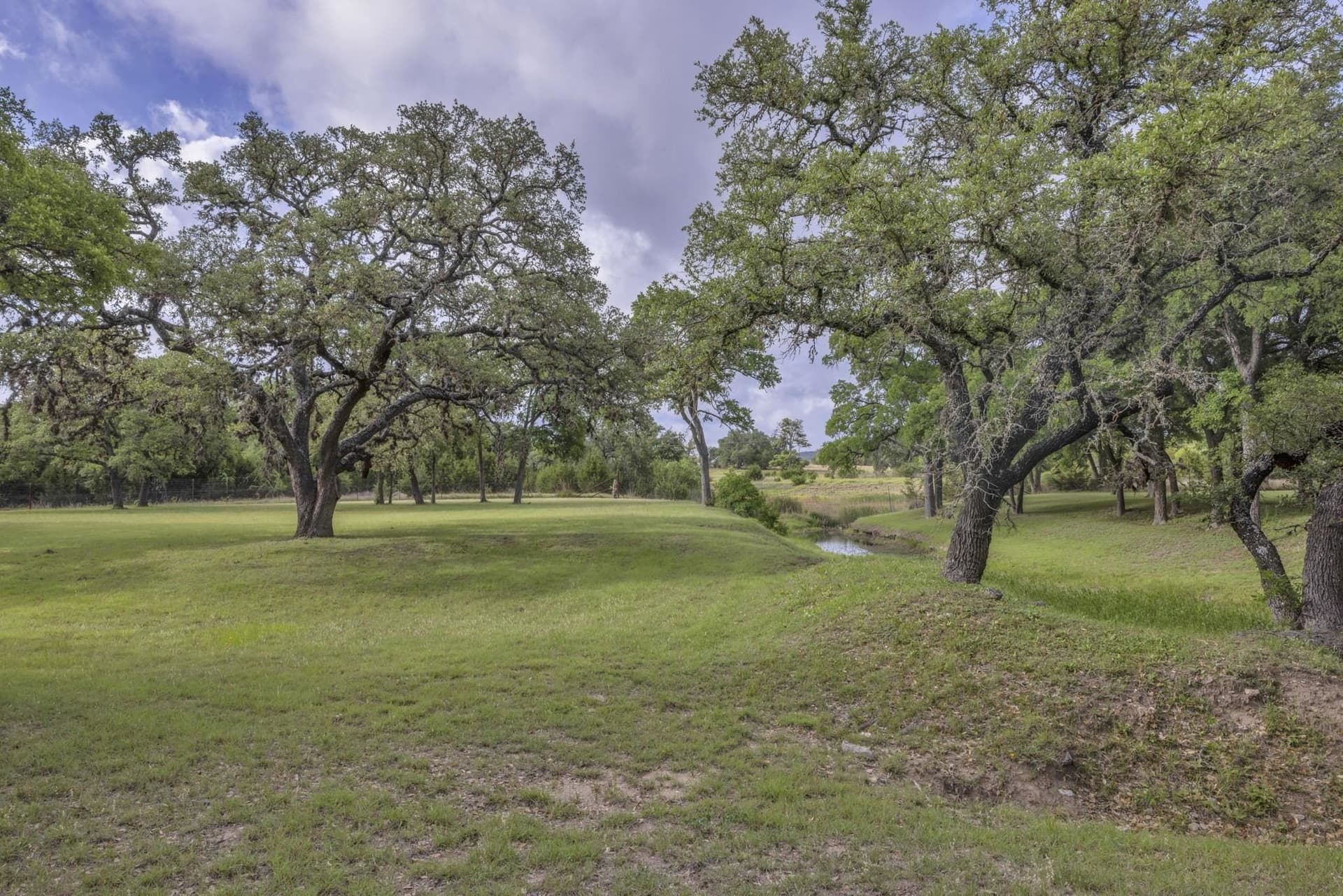 29.94 acres in Blanco County gallery image 3
