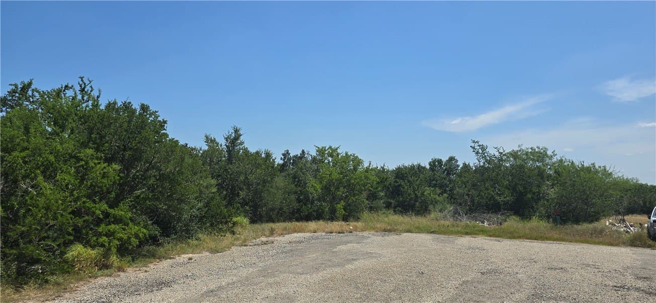 1.94 acres in Jim Wells County gallery image 2