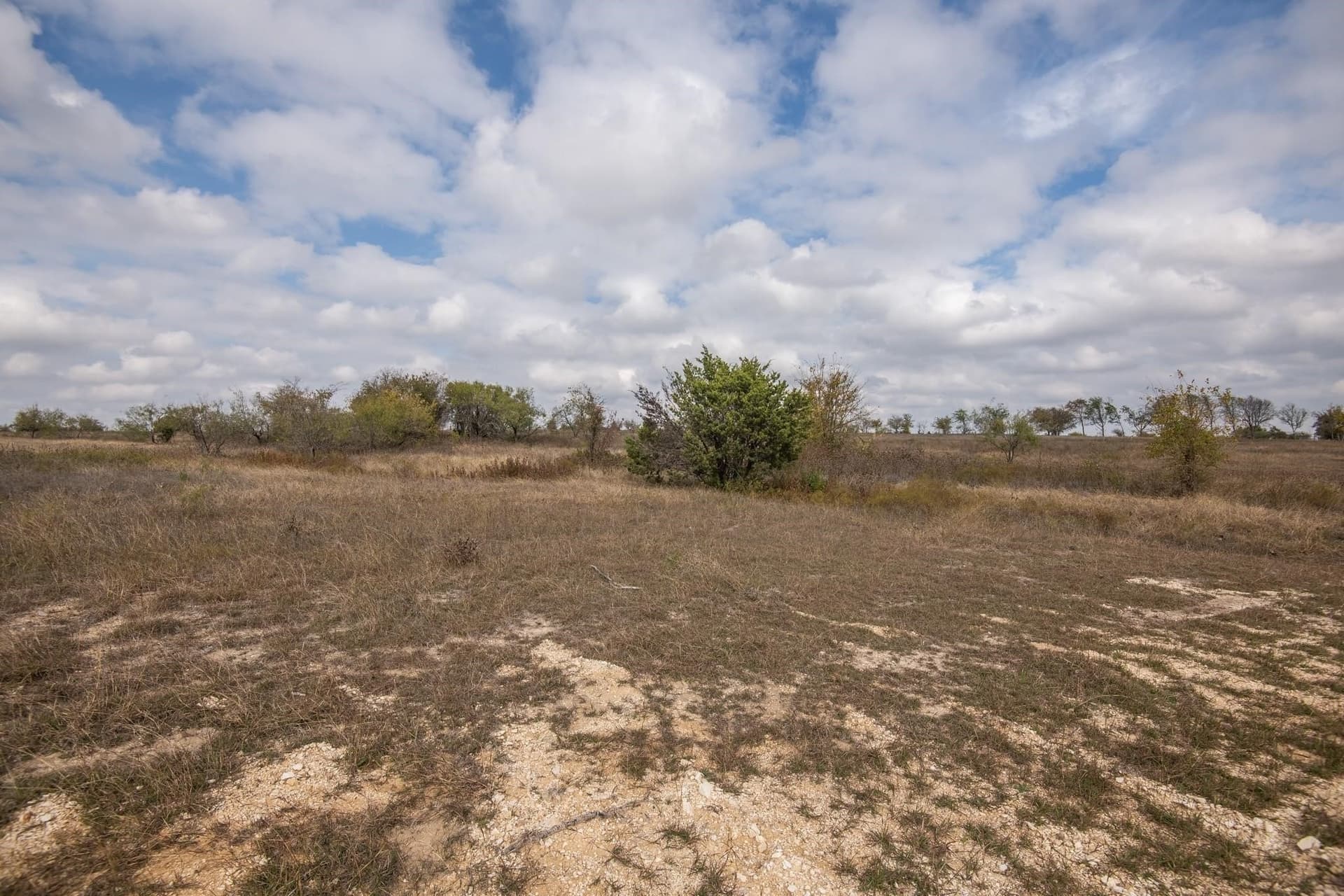2 acres in Hill County - photo 7