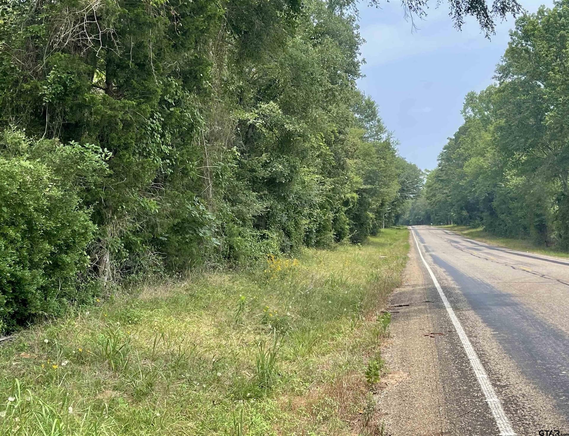 1.38 acres in Camp County - photo 2