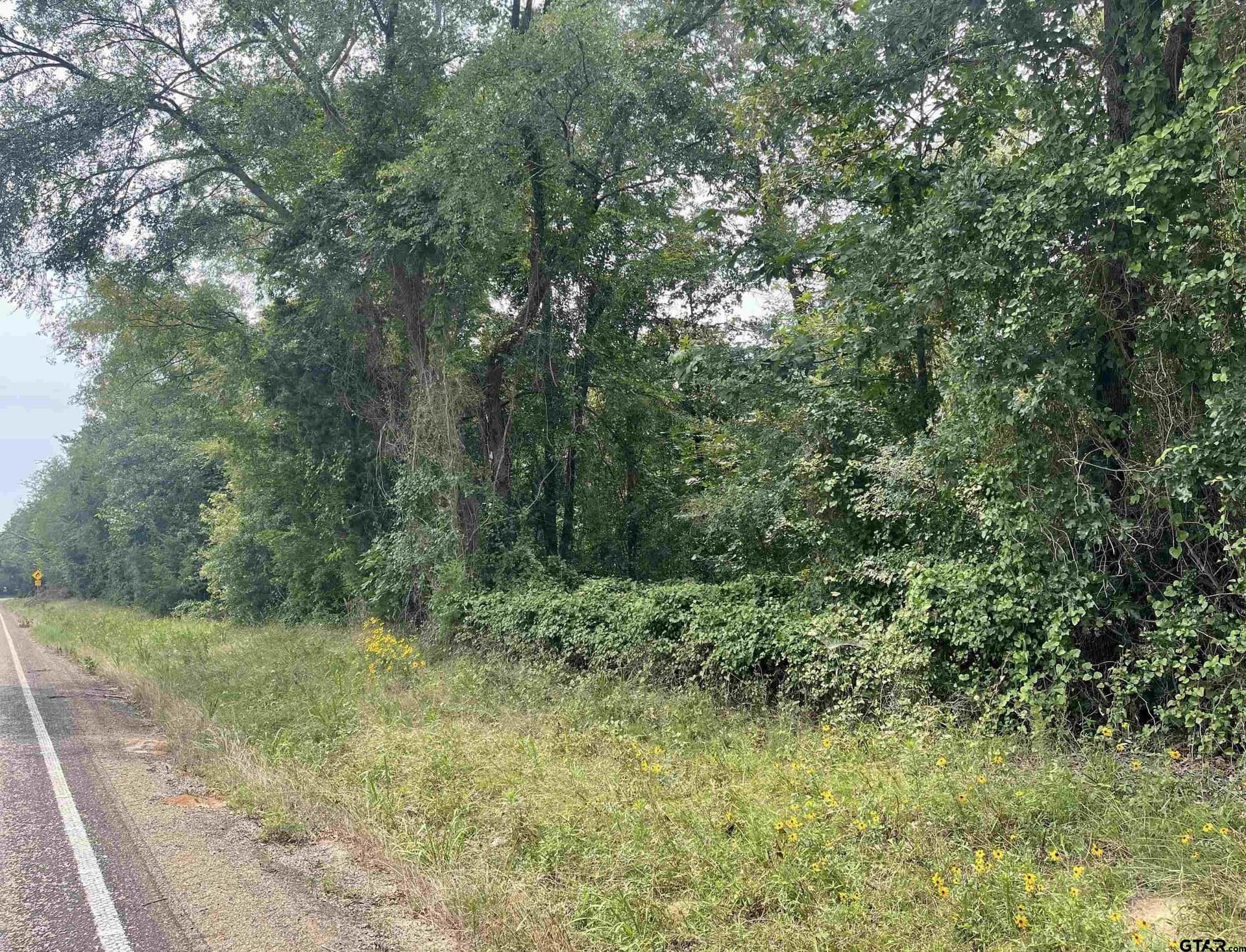 1.38 acres in Camp County