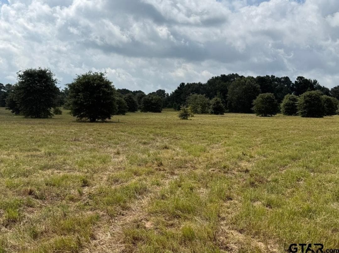 51.32 acres in Smith County - photo 5