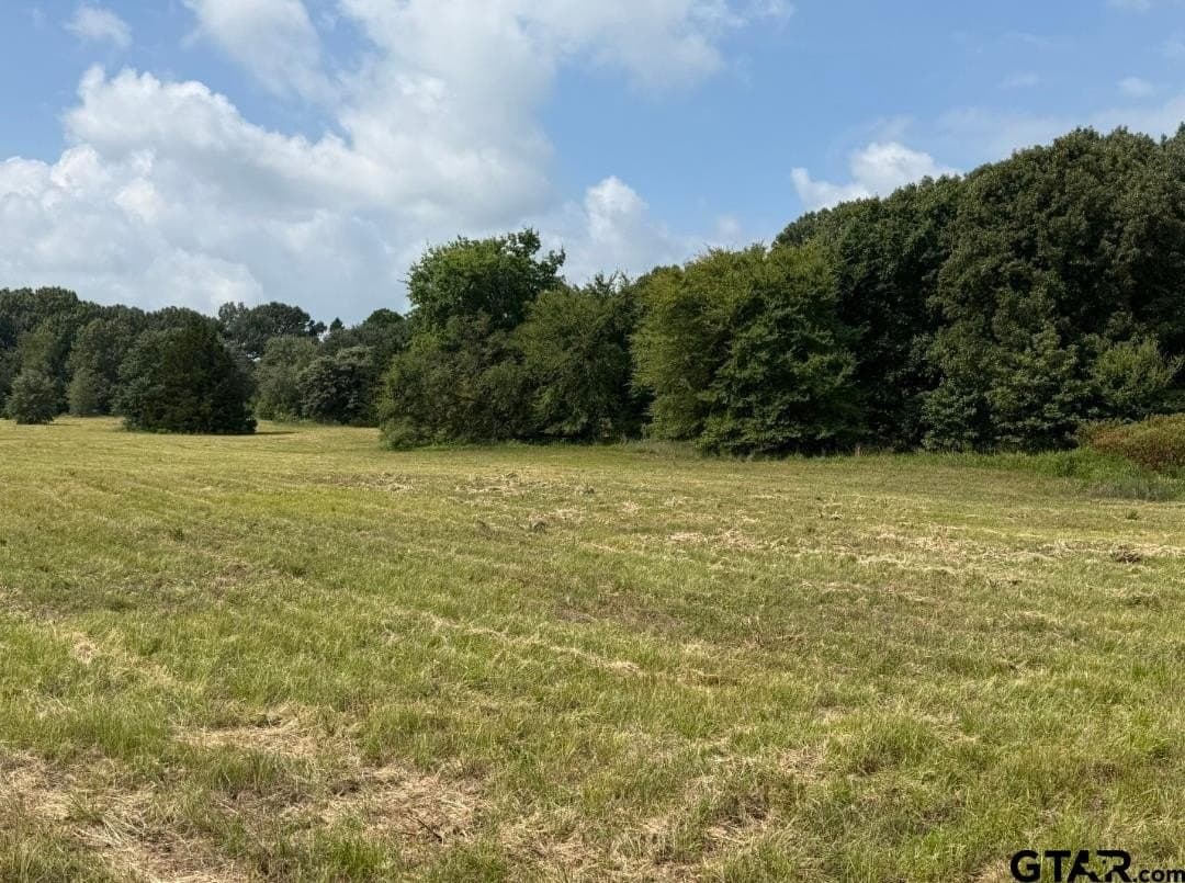51.32 acres in Smith County - photo 7