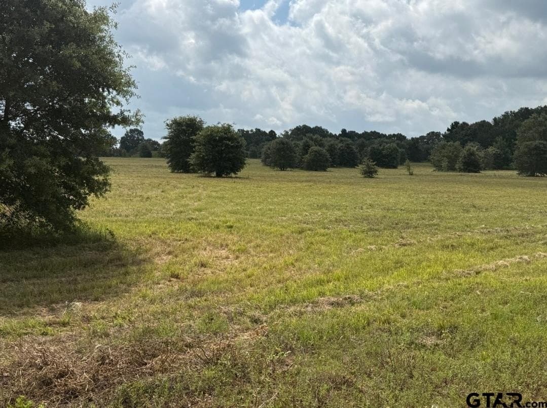 51.32 acres in Smith County - photo 3