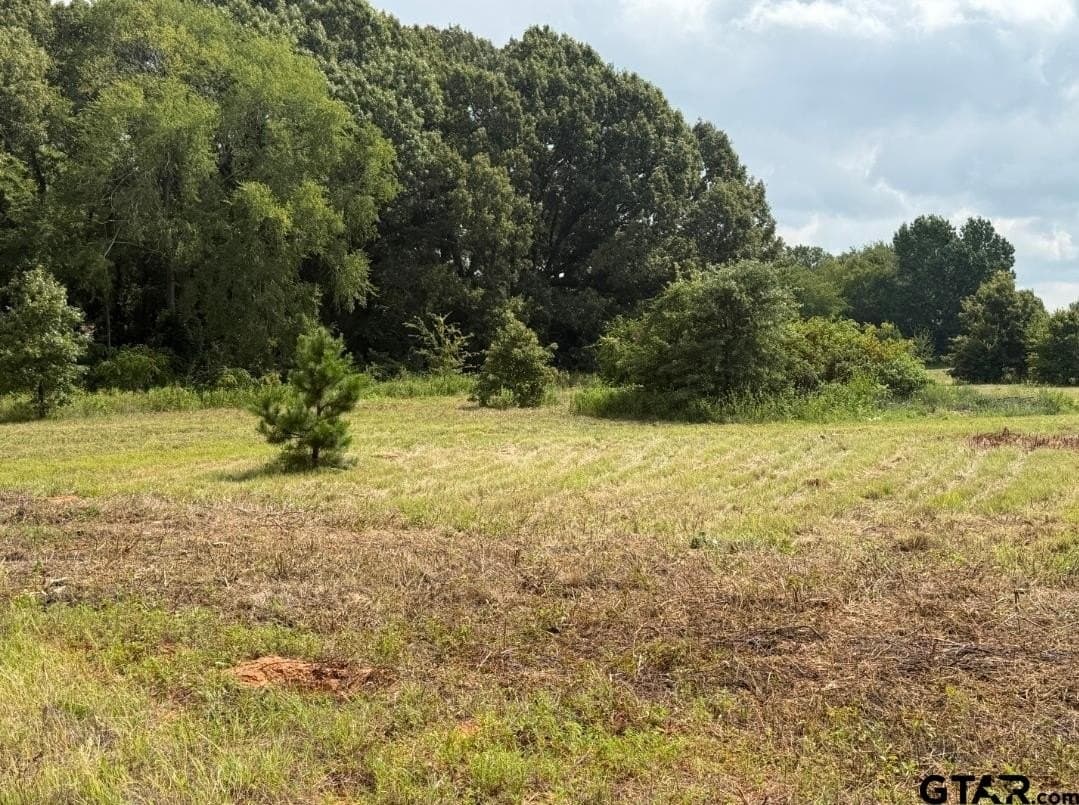 51.32 acres in Smith County - photo 2