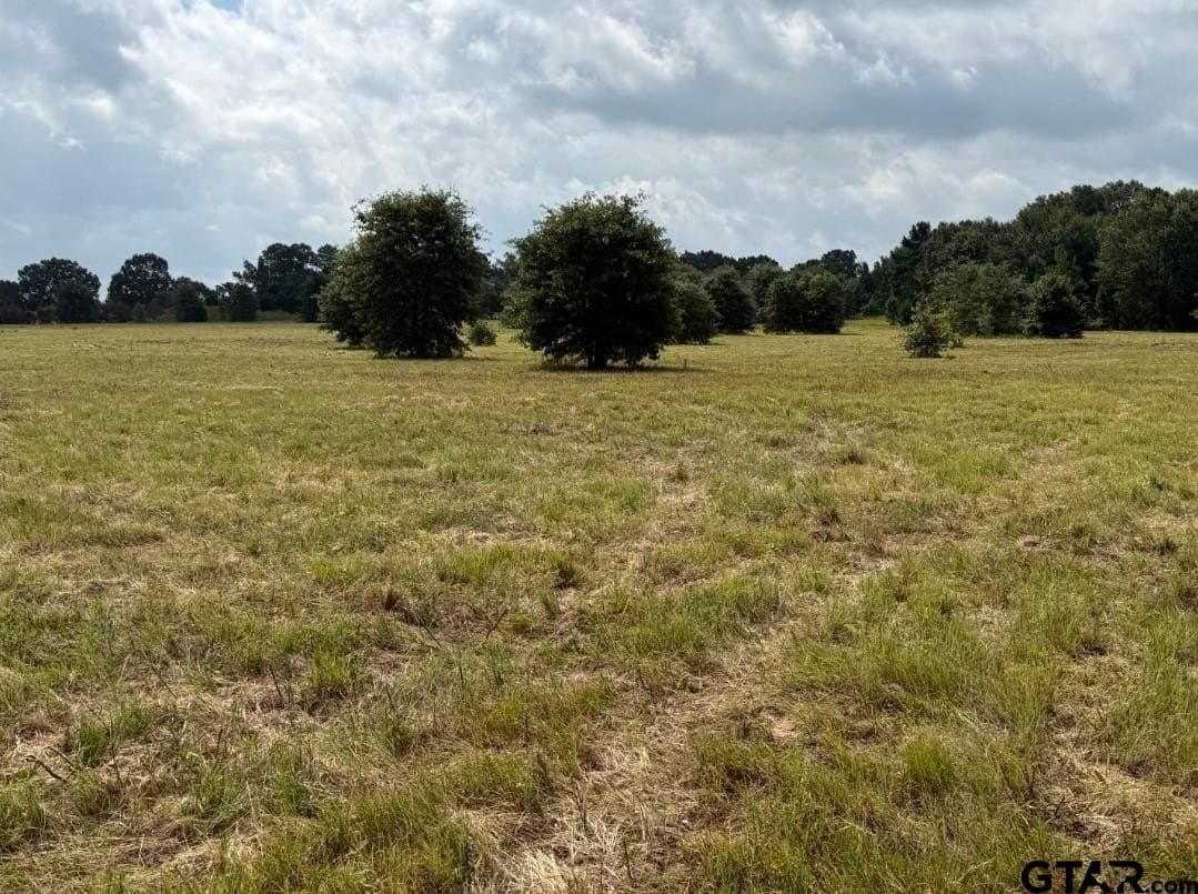 51.32 acres in Smith County - photo 8