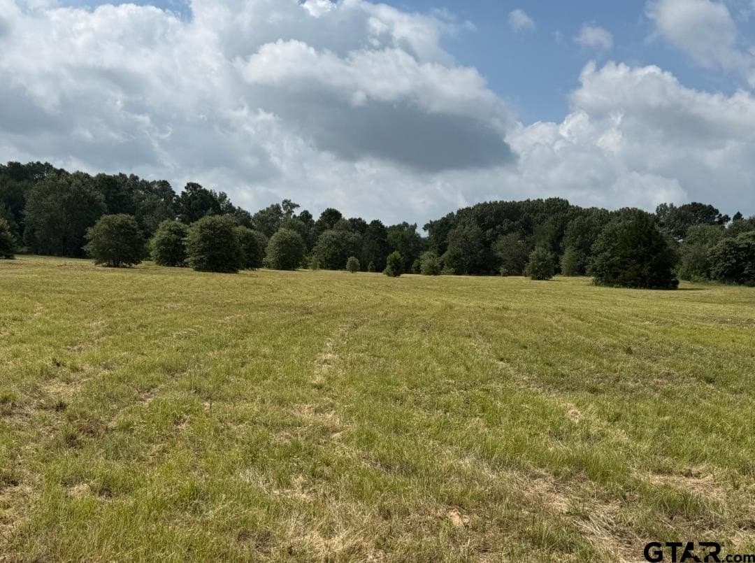 51.32 acres in Smith County - photo 6