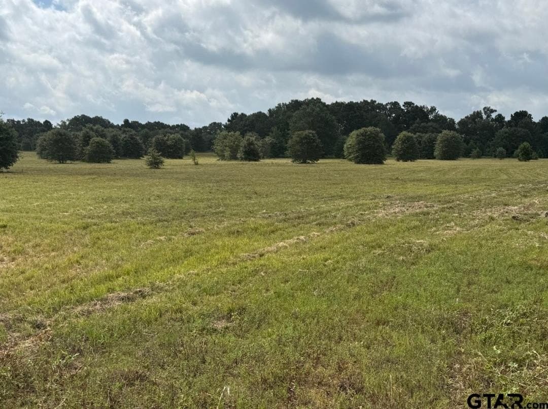 51.32 acres in Smith County - photo 4