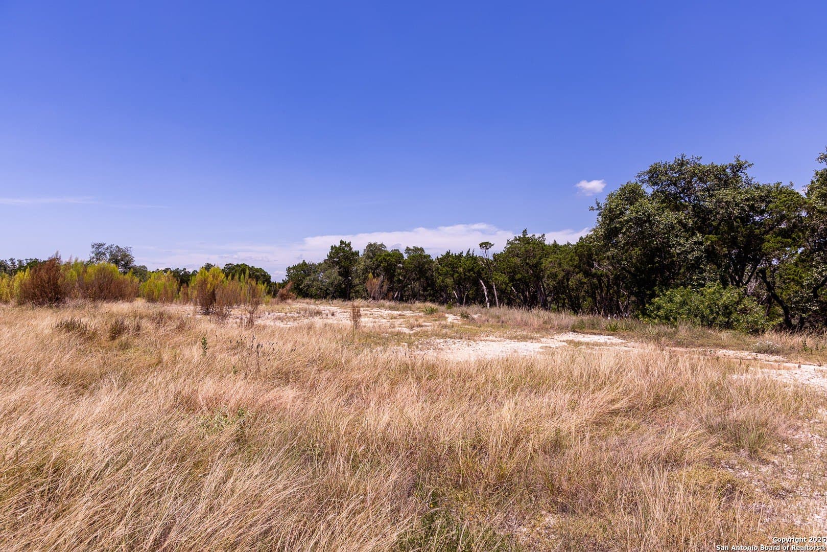 5.01 acres in Medina County - photo 10