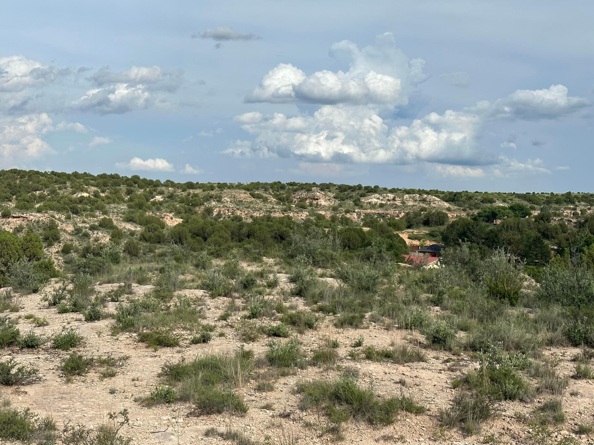 4.12 acres in Randall County featured view