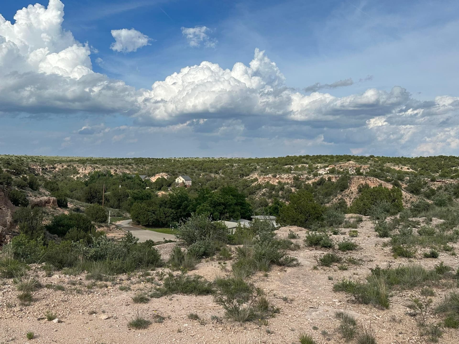 4.12 acres in Randall County - photo 6