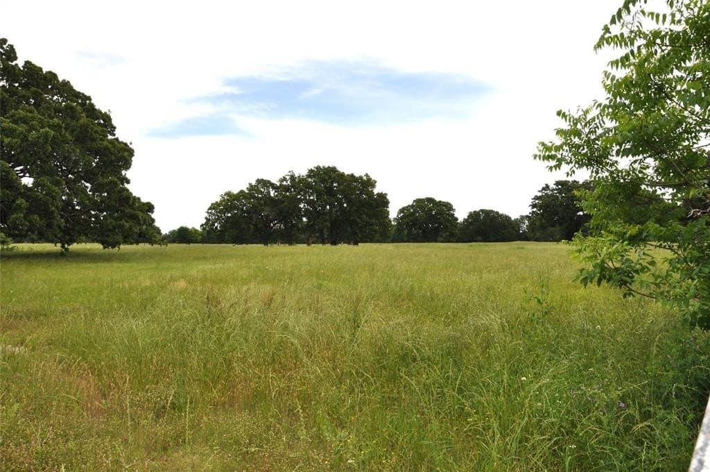 9.2 acres in Van Zandt County gallery image 3