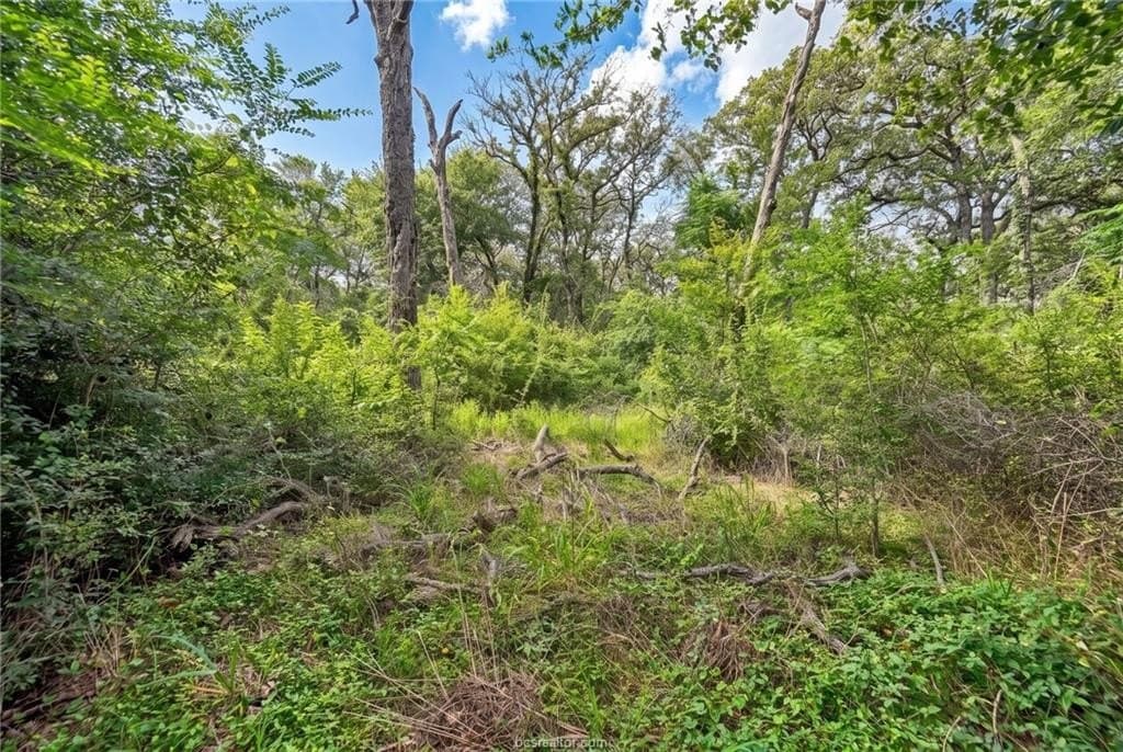 7.28 acres in Burleson County - photo 9