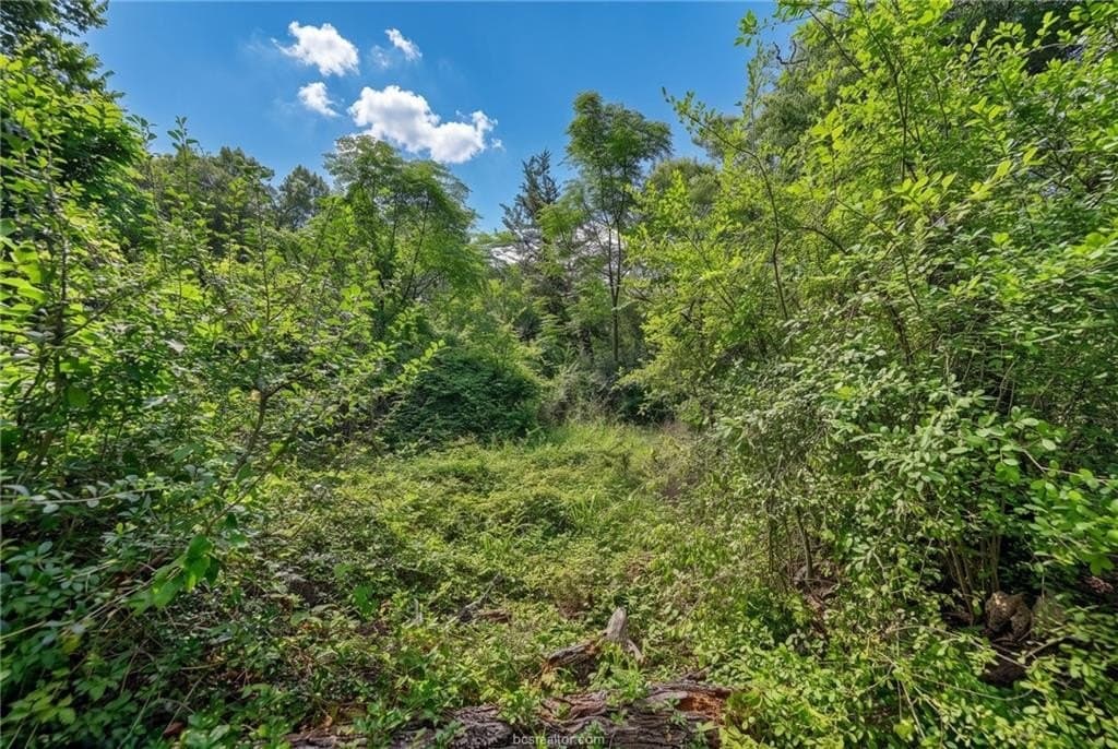 7.28 acres in Burleson County - photo 10