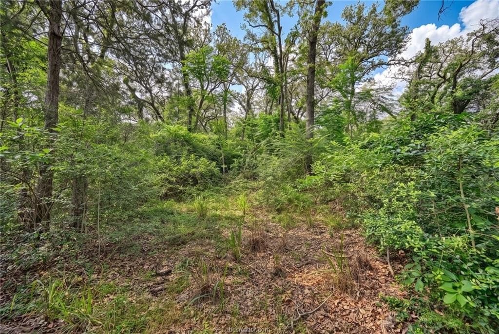 7.28 acres in Burleson County - photo 12