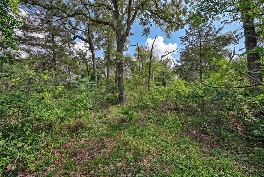 7.28 acres in Burleson County - photo 17