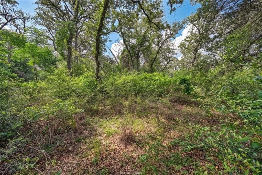 7.28 acres in Burleson County - photo 16