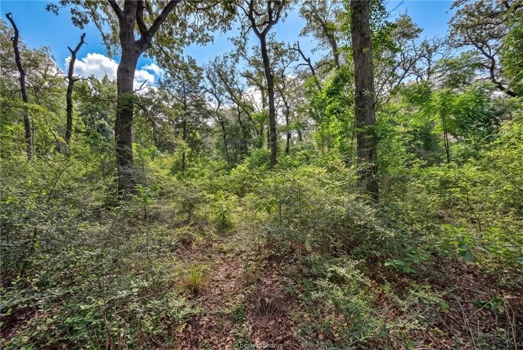 7.28 acres in Burleson County - photo 15