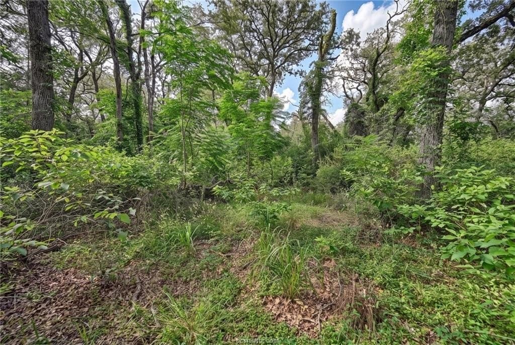 7.28 acres in Burleson County - photo 14