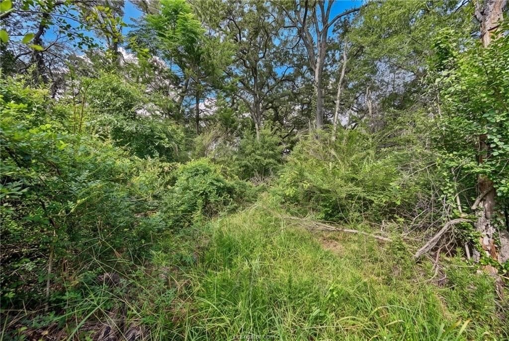 7.28 acres in Burleson County - photo 11