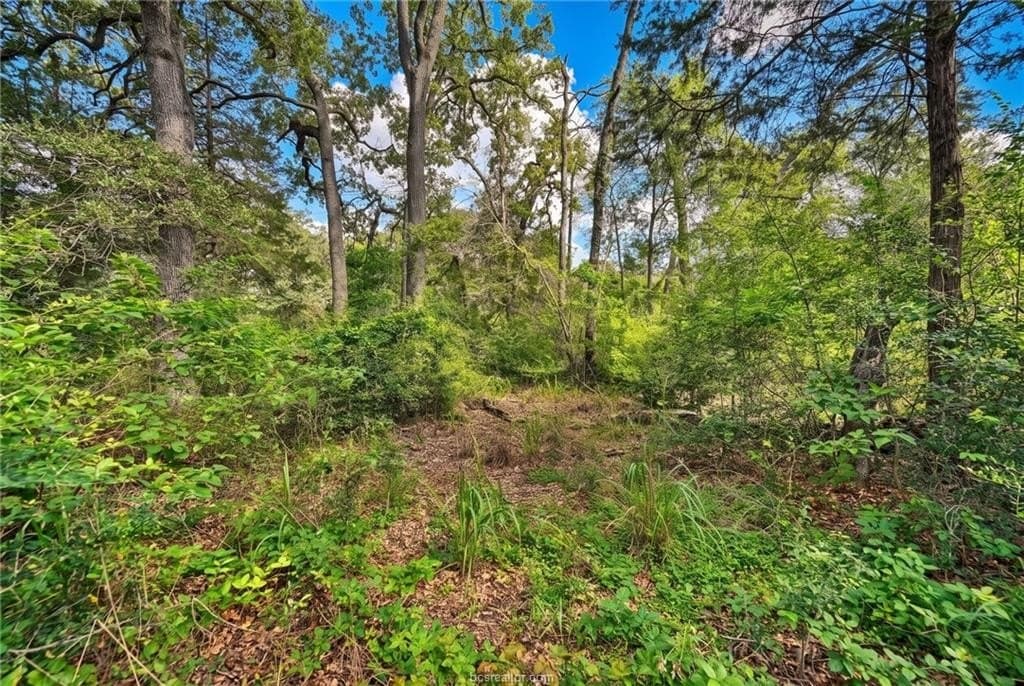 7.28 acres in Burleson County - photo 13