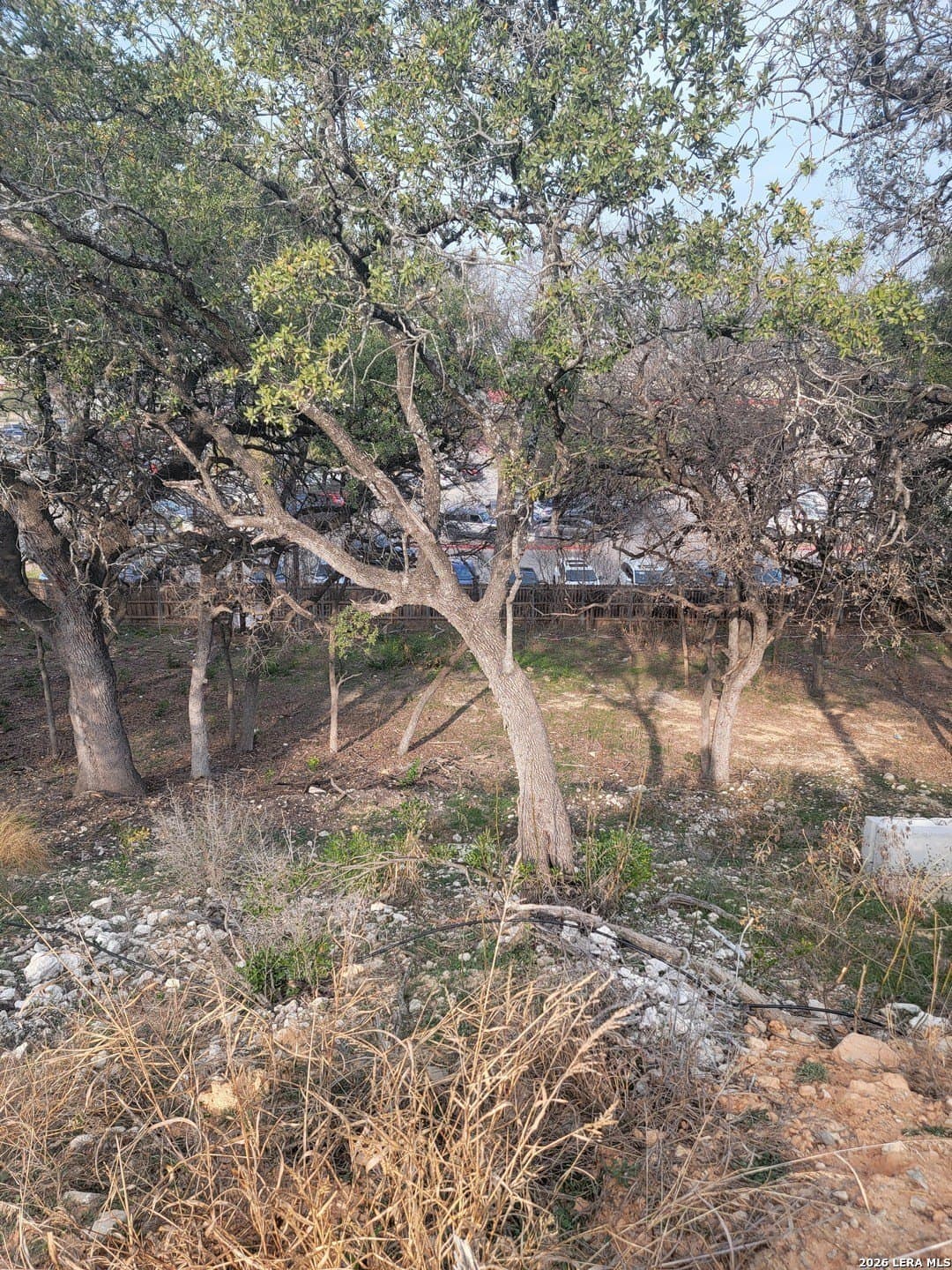 0.56 acres in Bexar County - photo 17