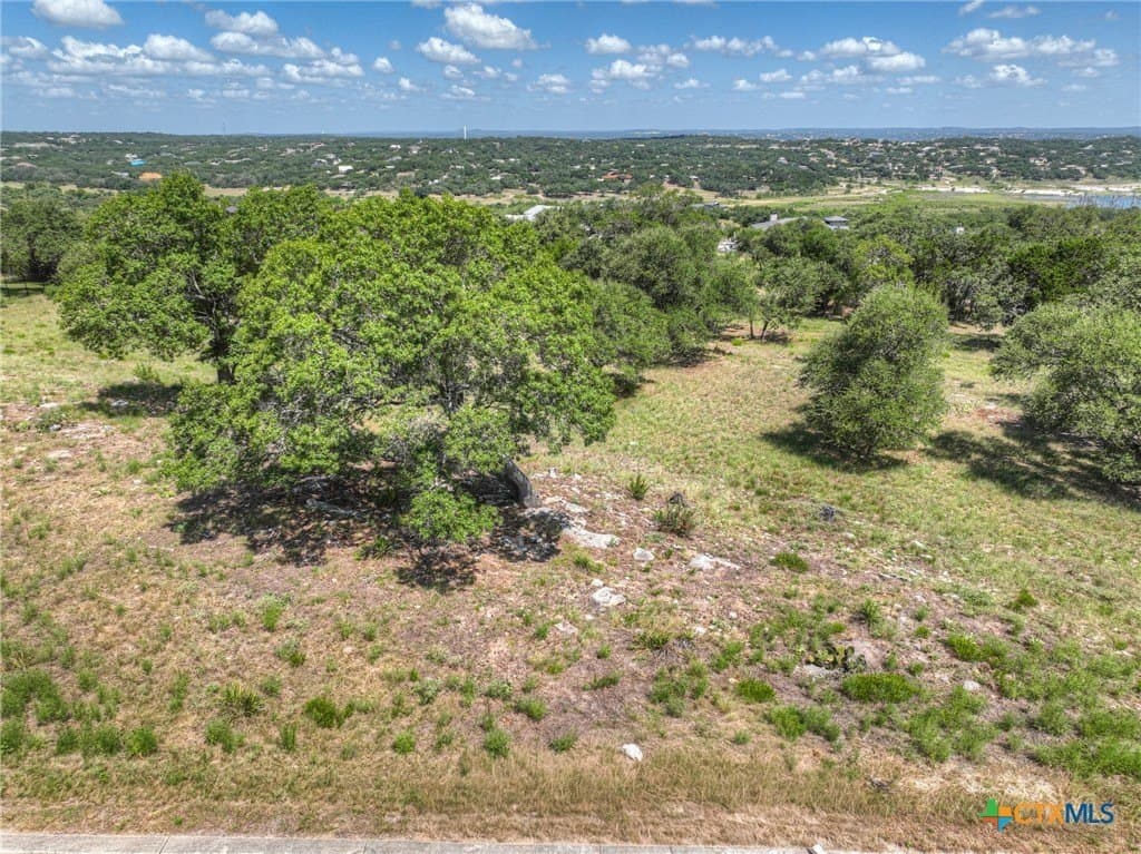 0.55 acres in Comal County gallery image 2