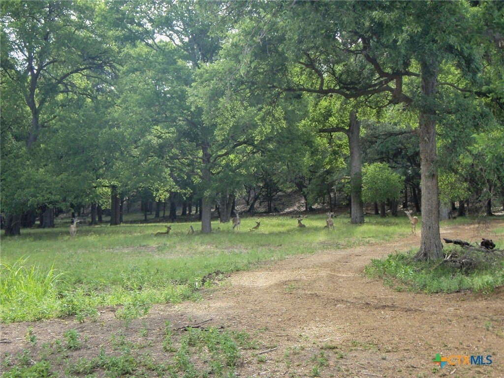 0.55 acres in Comal County - photo 18
