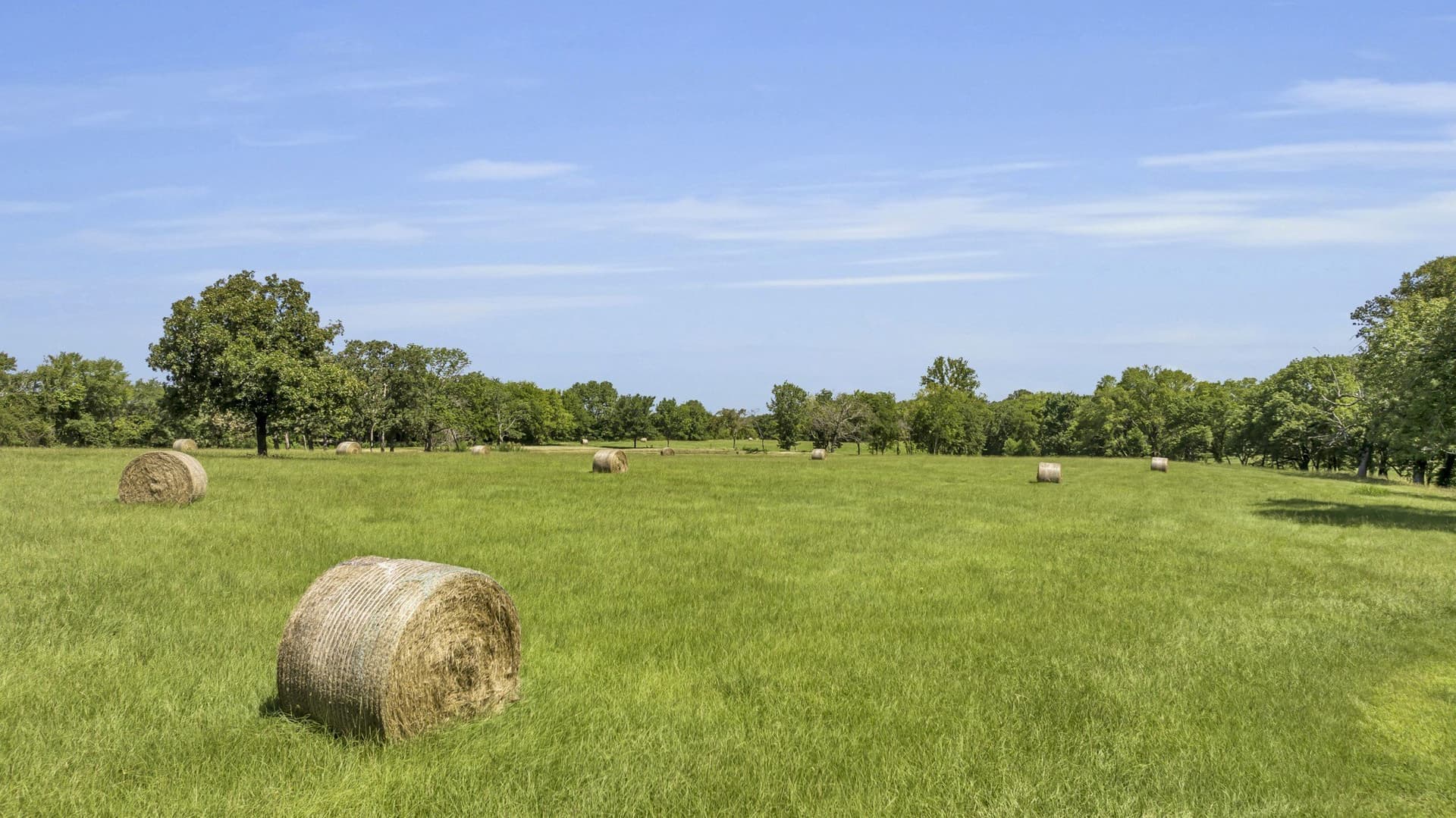 28.89 acres in Wood County featured view