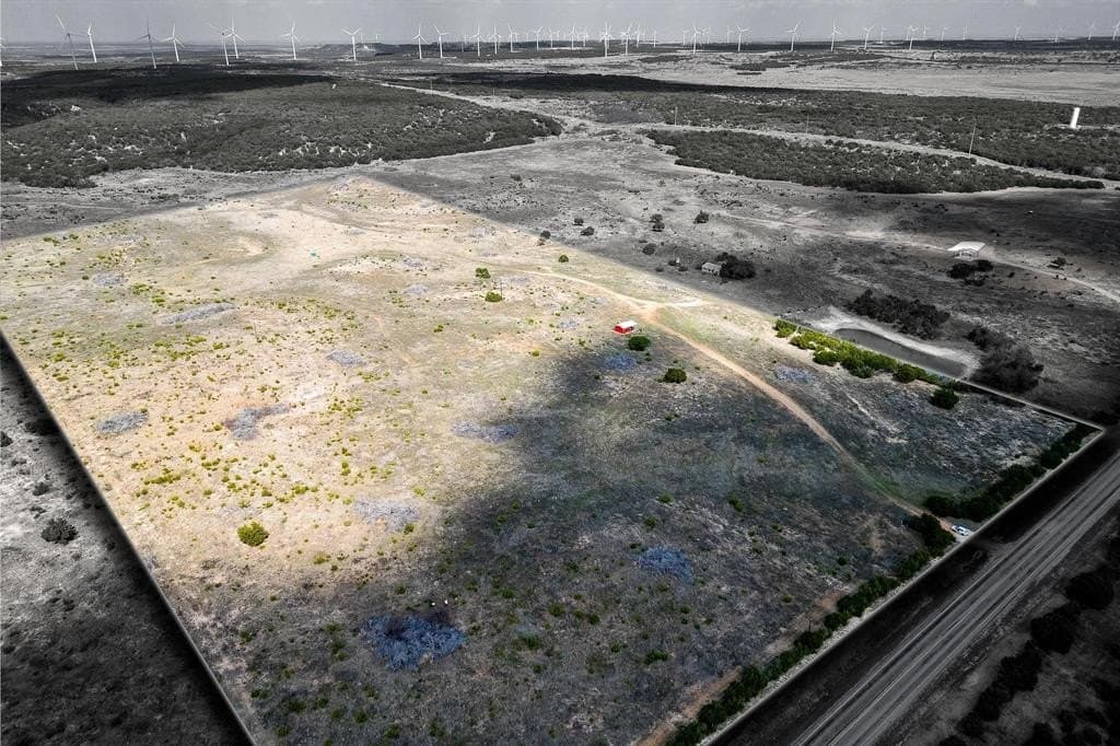 10.03 acres in Taylor County gallery image 4