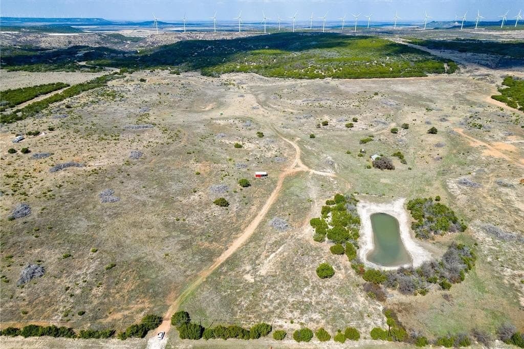 10.03 acres in Taylor County gallery image 3