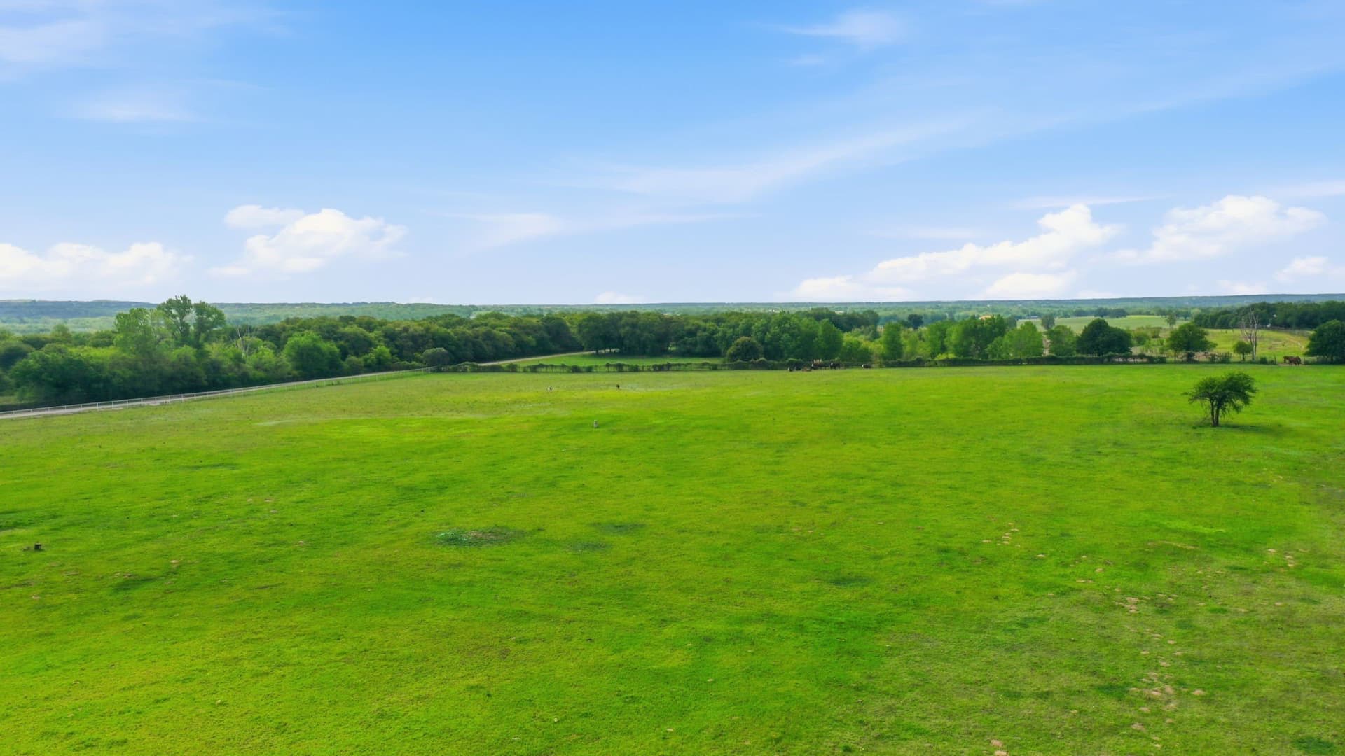 50 acres in Parker County gallery image 3