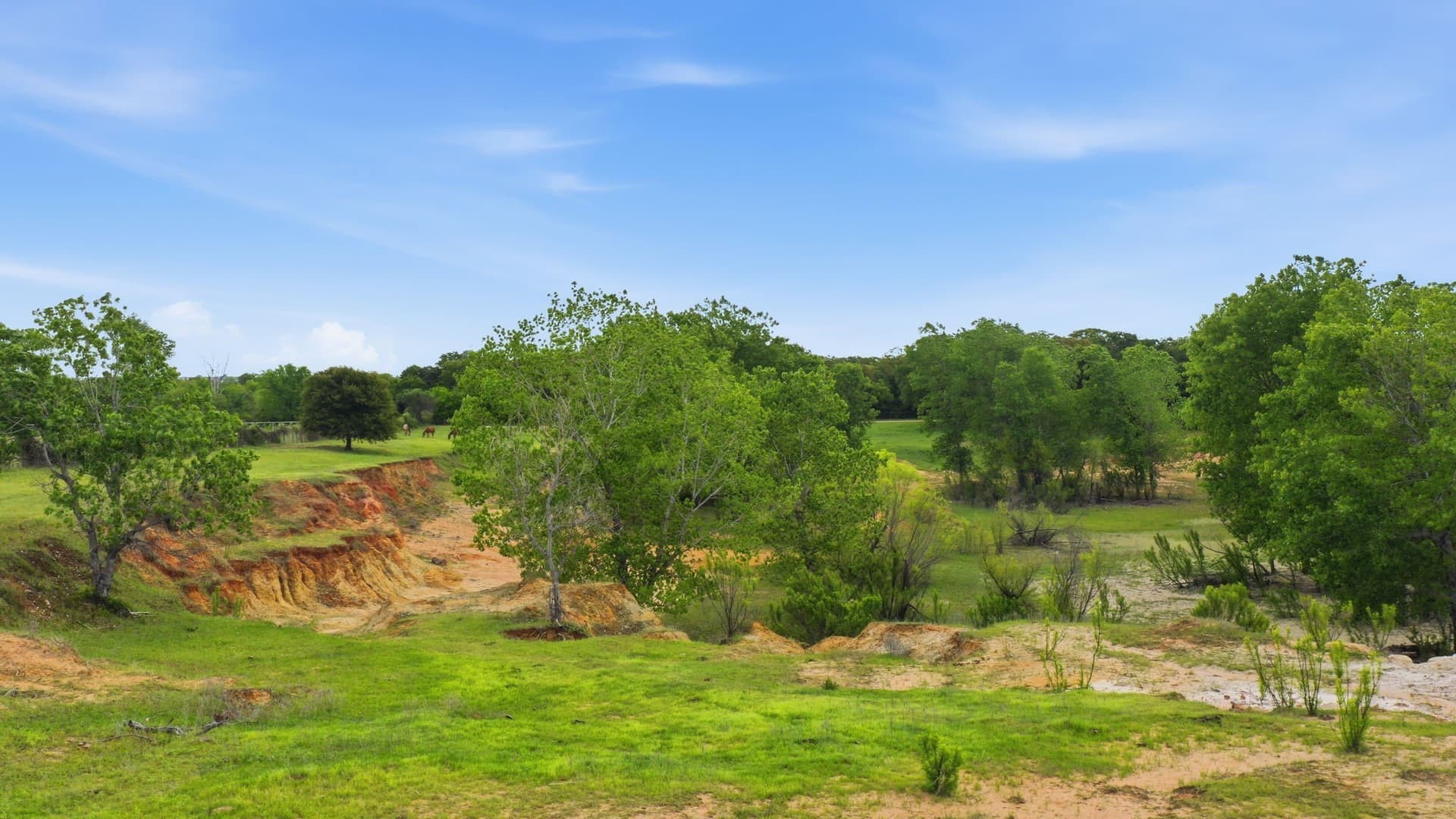 50 acres in Parker County - photo 16