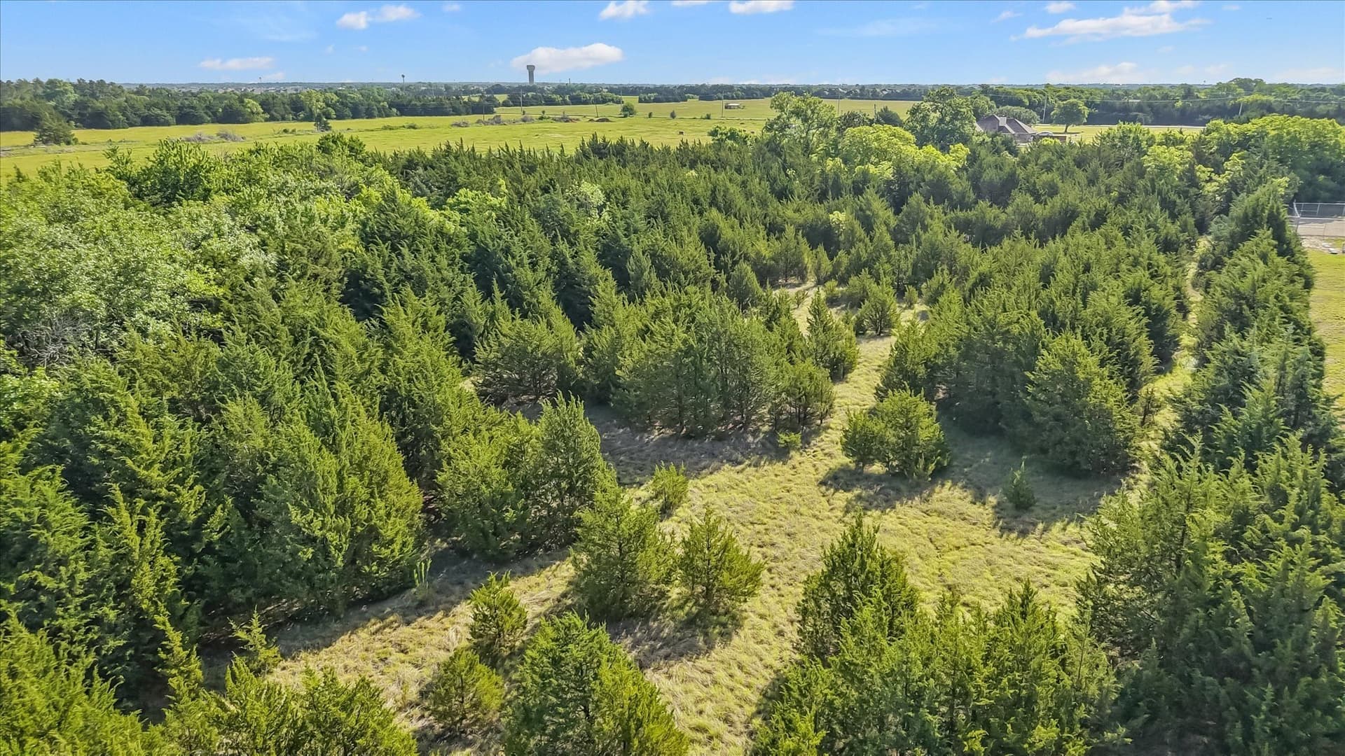 5.5 acres in Collin County - photo 23