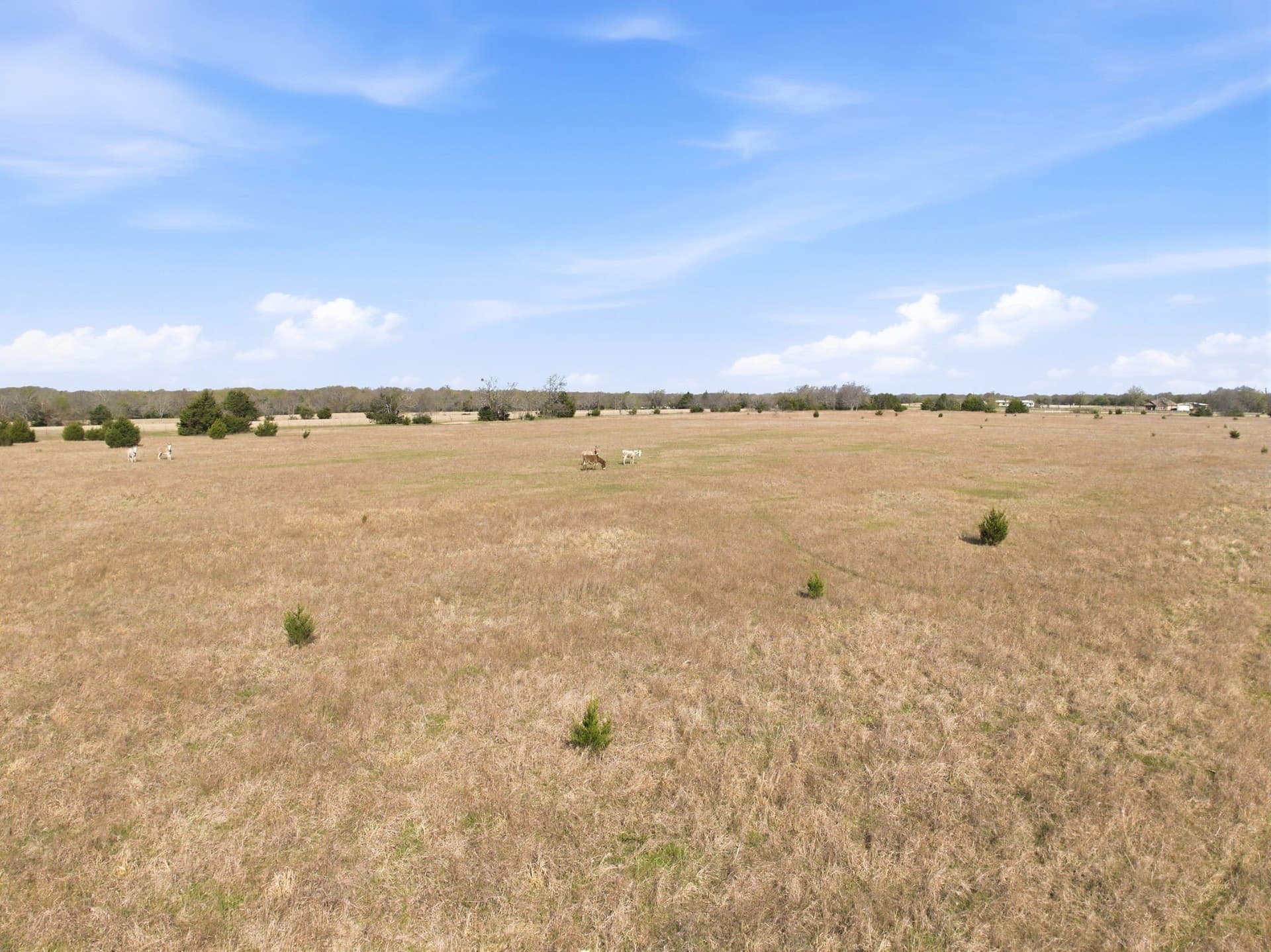 40 acres in Hunt County - photo 6